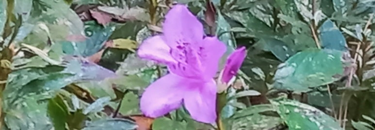 서울복음서적 이미지