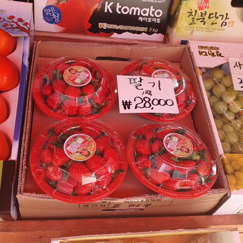 보람청과 이미지