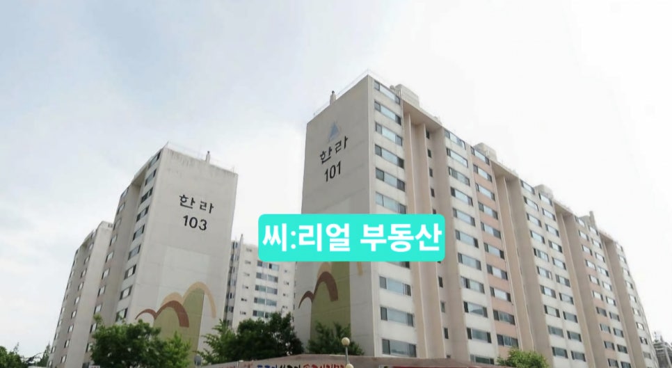 노암인터넷 이미지