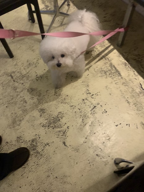 오구통닭 이미지