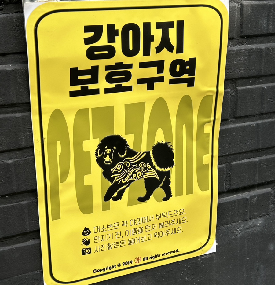 이이요이연남 이미지