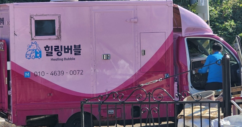 빠리함박 이미지