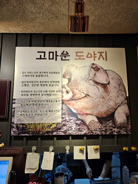 가야도야지 이미지