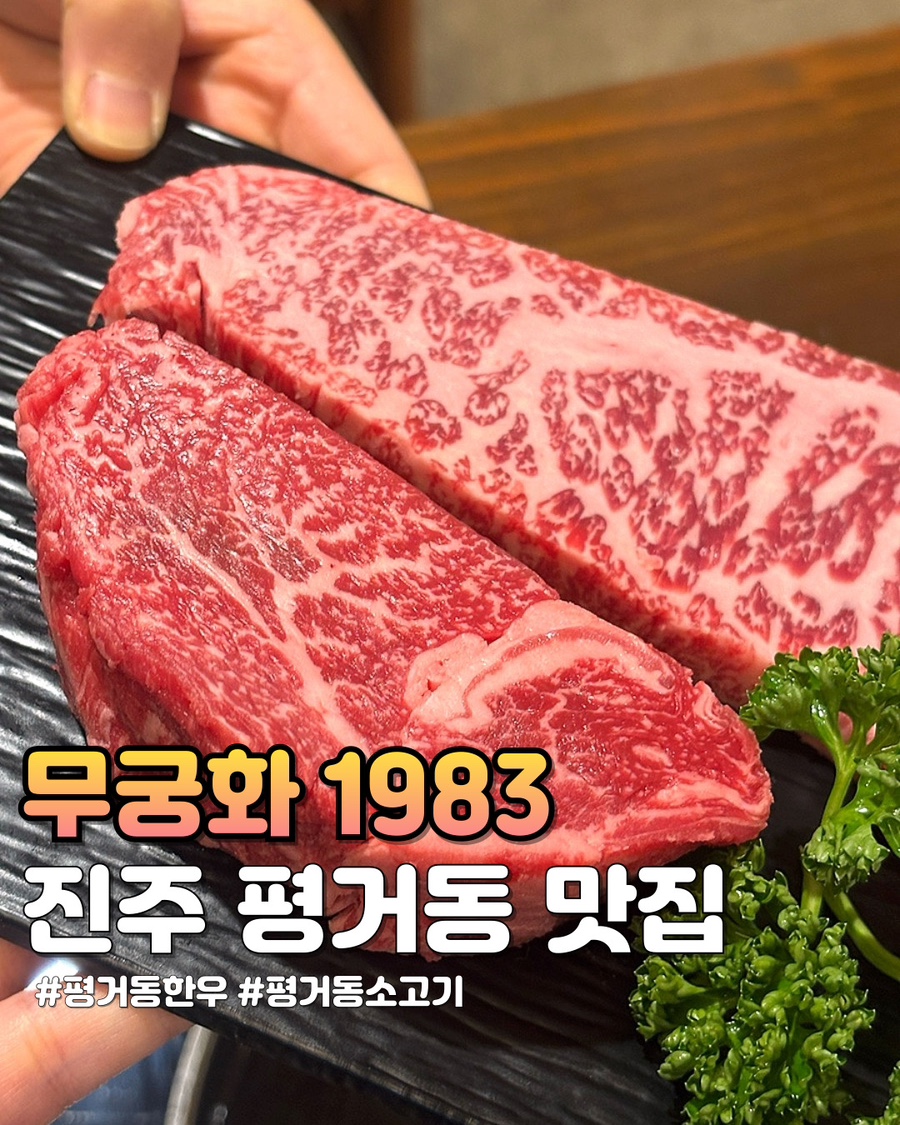 무궁화1983 이미지