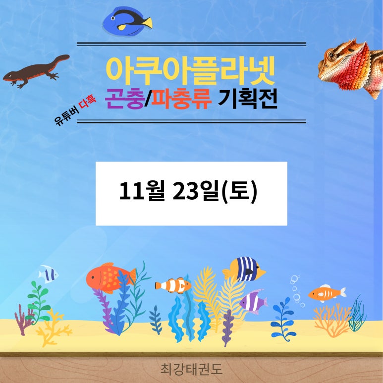 (주)보고아쿠아 이미지