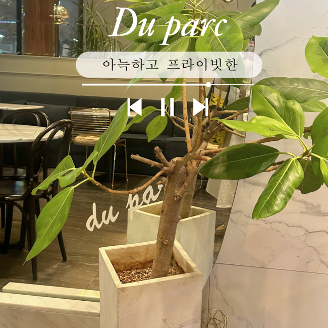 뒤파르크 이미지