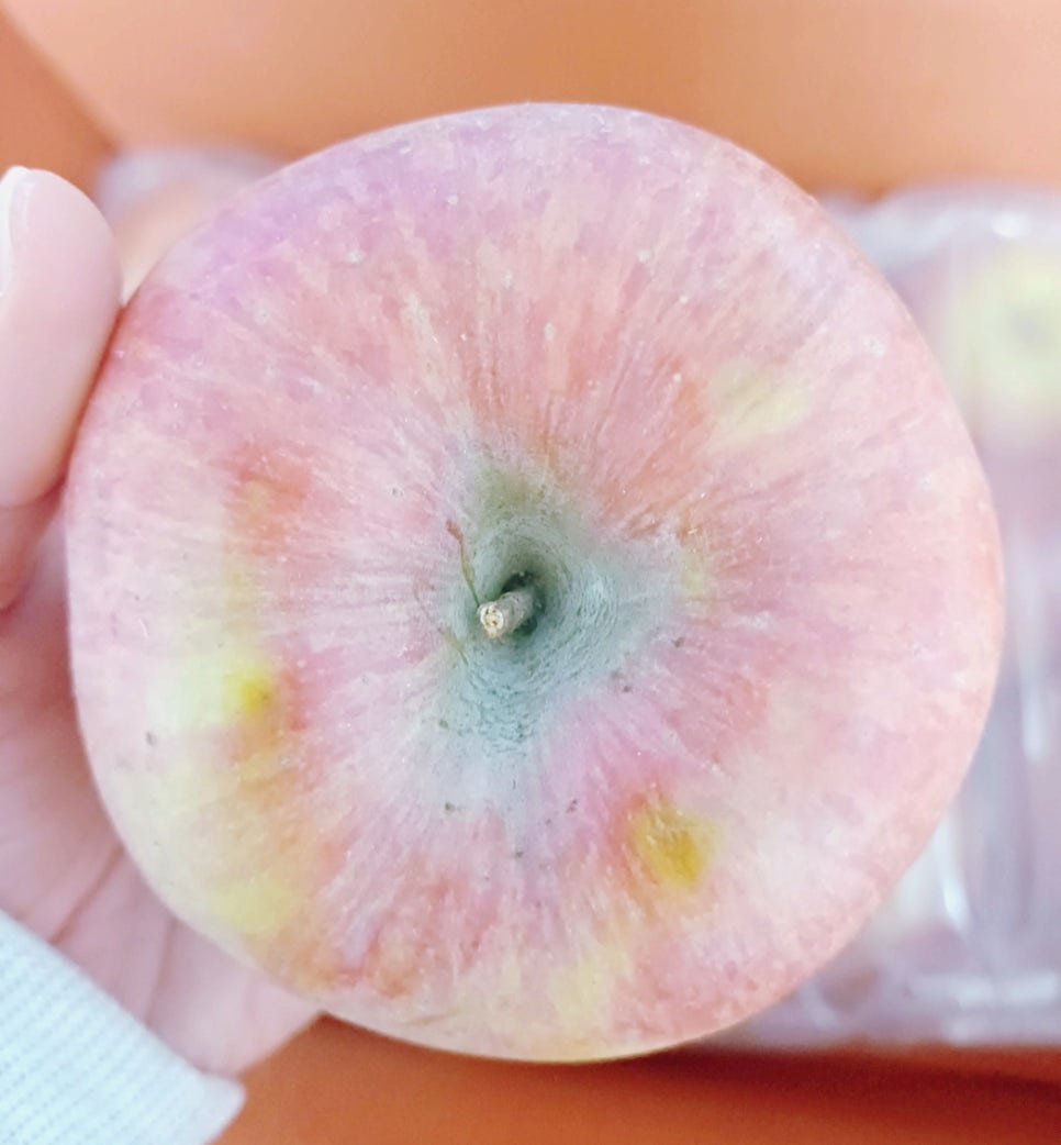 꽃돼지장터 이미지