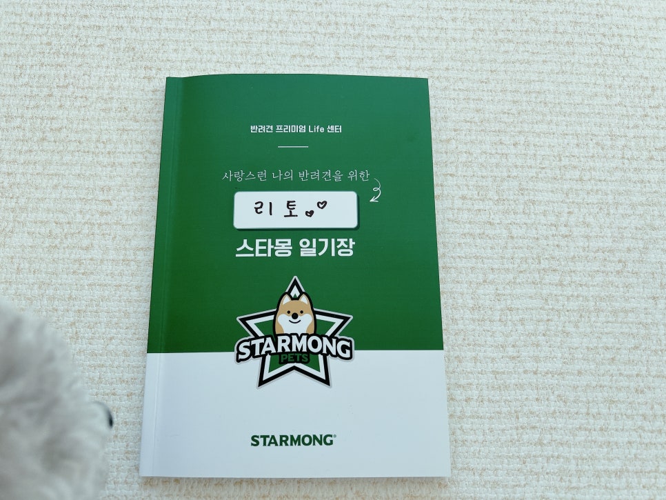 강남 강아지 유치원 스타몽, 매일 산책하는 서초 애견유치원 — 사진 19