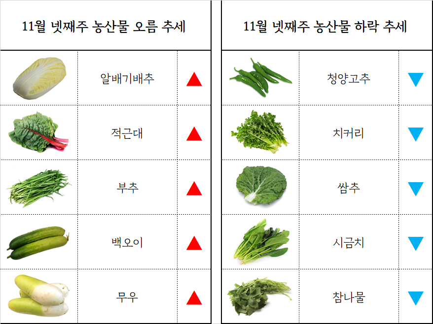 청운유통 이미지
