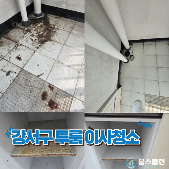 올스클린 이미지