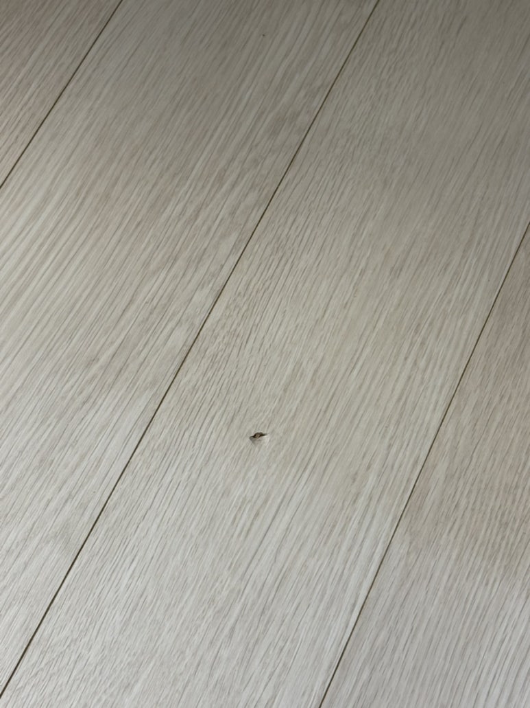 이화수전통육개장 서울동자점 사진 6