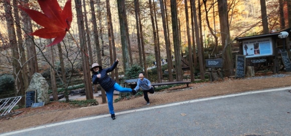 대나무집펜션 이미지