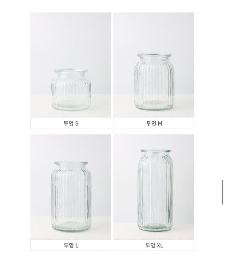다미그린 이미지