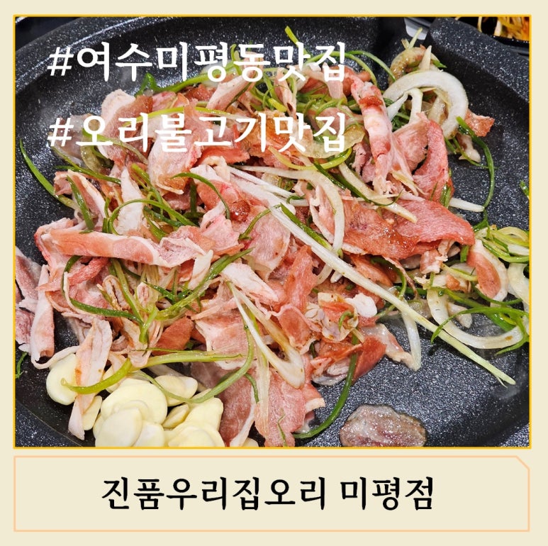 진품우리집오리 이미지
