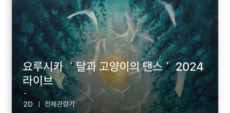 미세스도나 이미지
