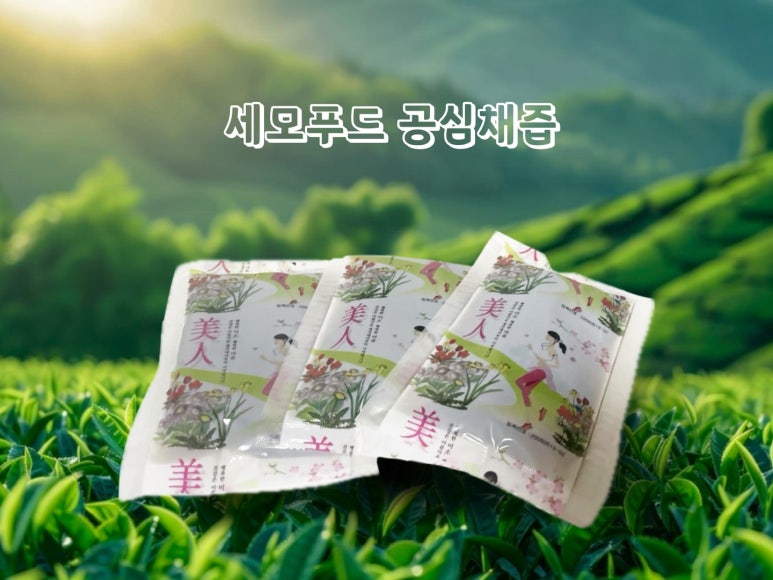 세모푸드 이미지