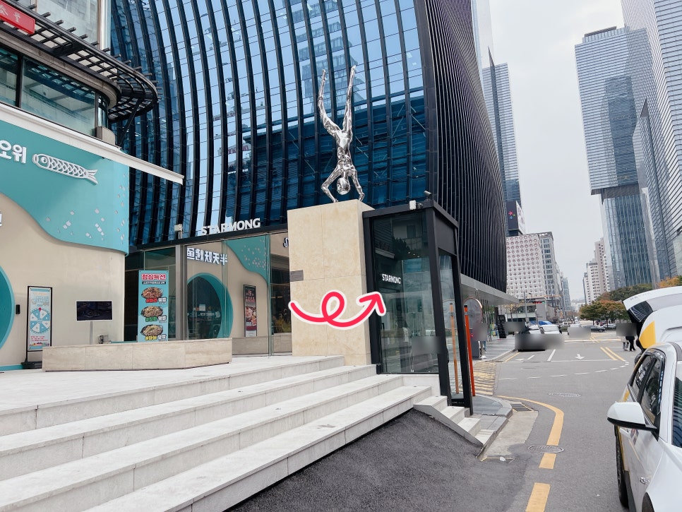 강남 강아지 유치원 스타몽, 매일 산책하는 서초 애견유치원 — 사진 4
