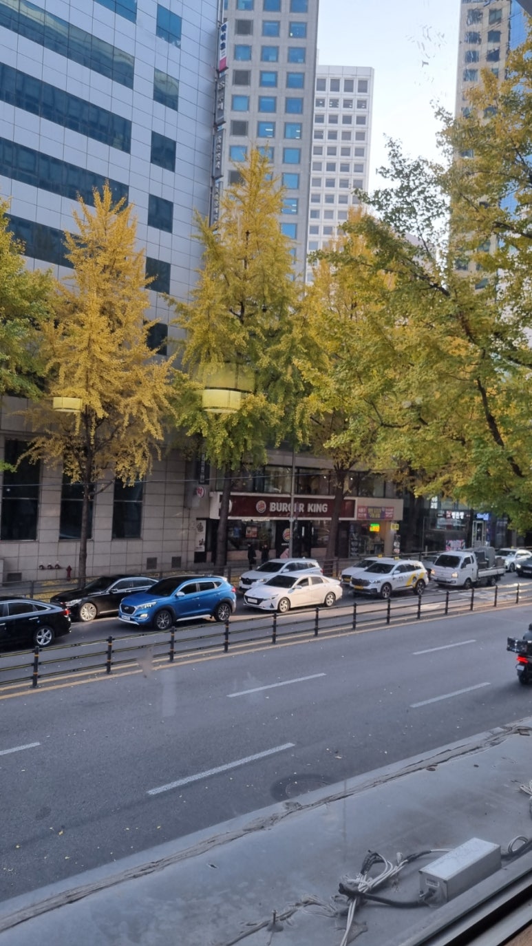 충칭우육면 이미지
