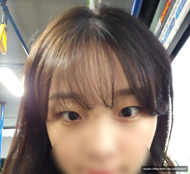 여니크 이미지