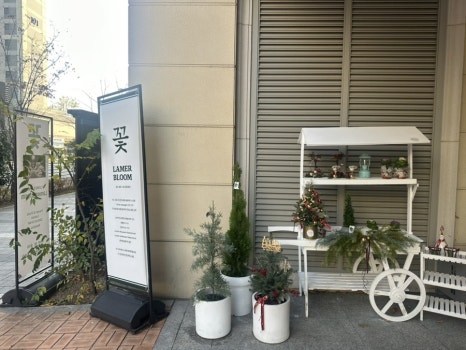 라메르블룸 이미지