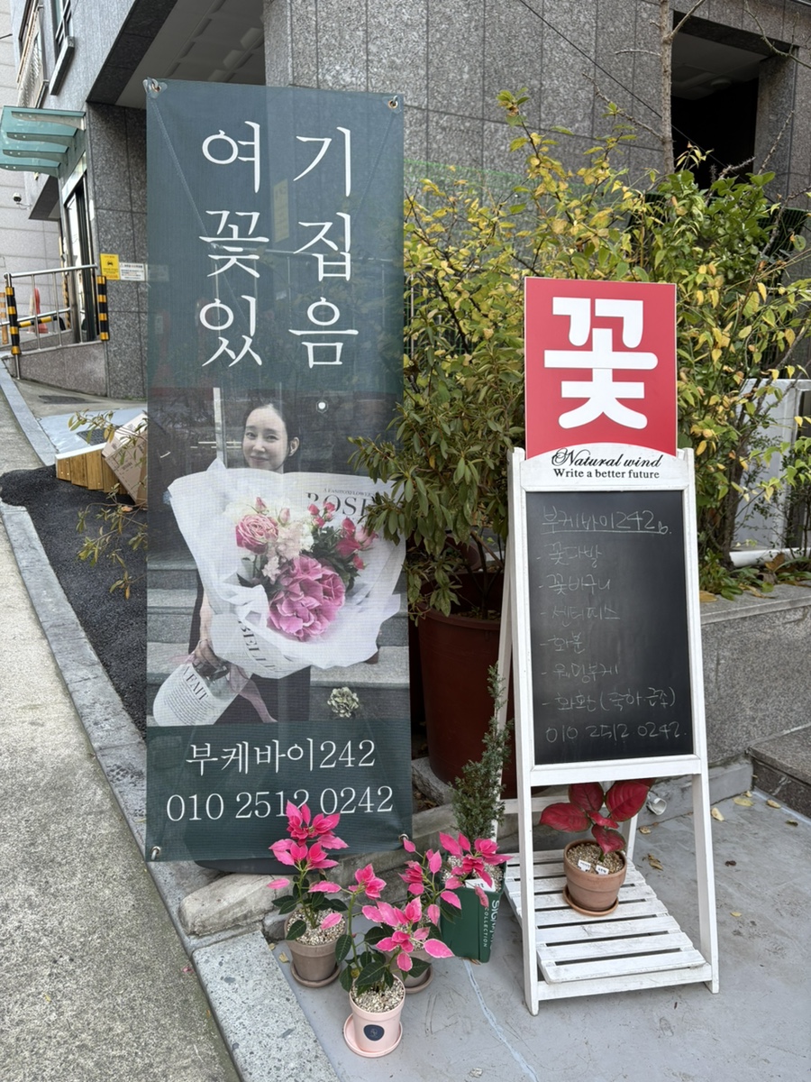 부케바이242 이미지