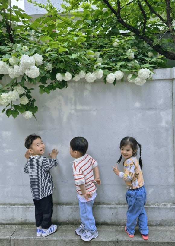 다솔어린이집 이미지