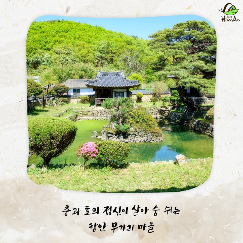 노바블룸디자인 이미지