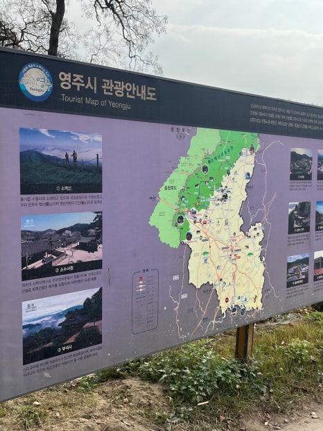 초산보쌈 이미지