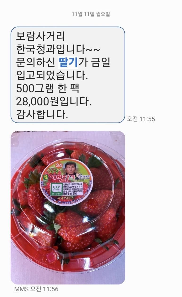 보람청과 이미지