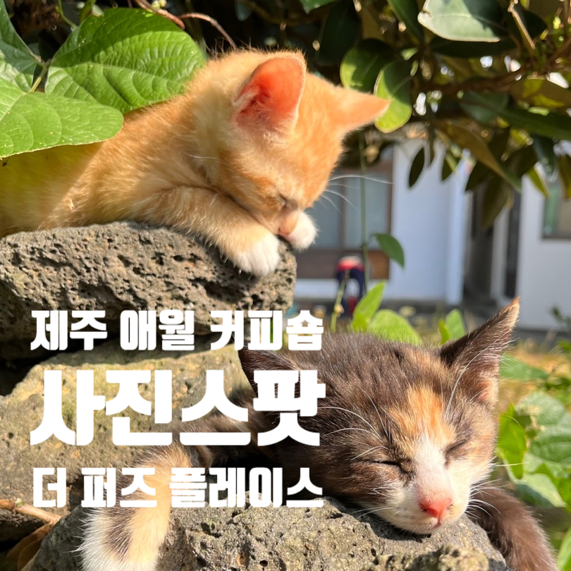 더퍼즈플레이스 이미지