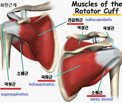 담올 이미지