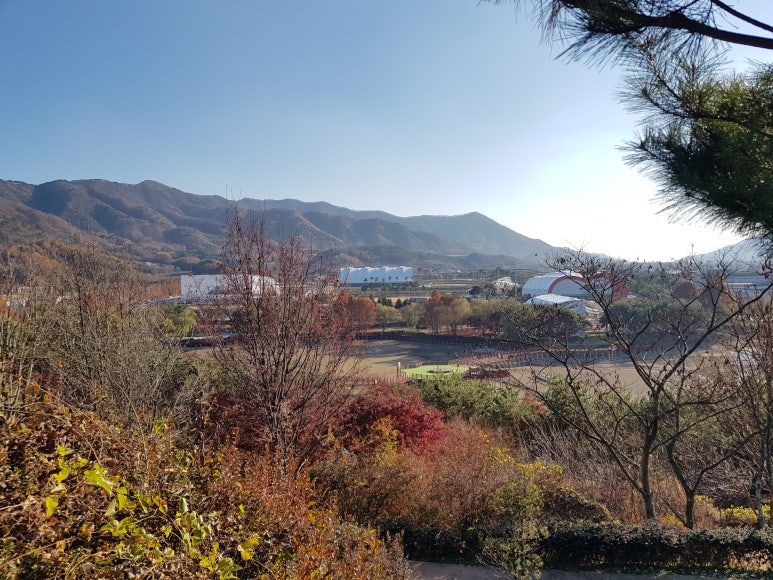 장수명품관 이미지
