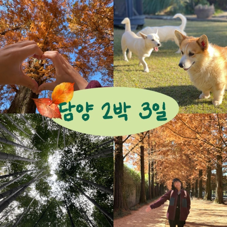 국수나무 담양점 이미지