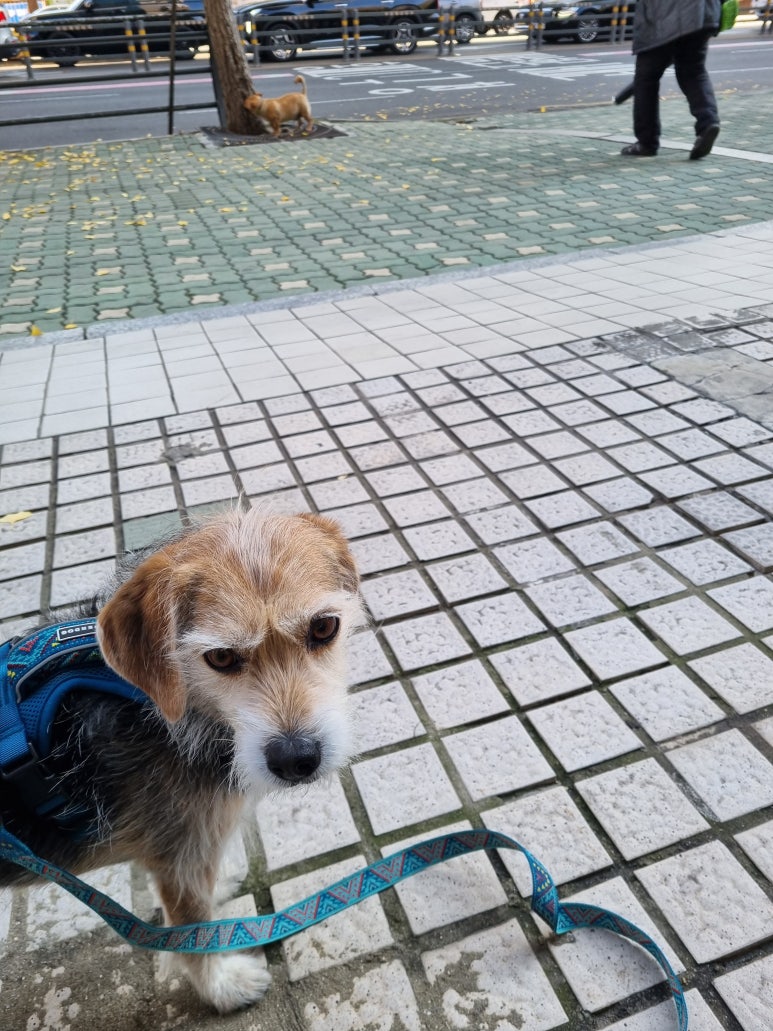 영일카센타 이미지