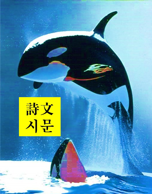 시문 이미지