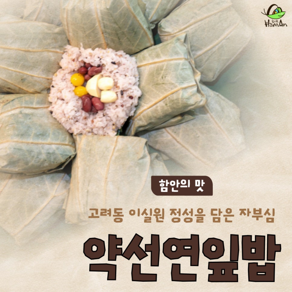 노바블룸디자인 이미지