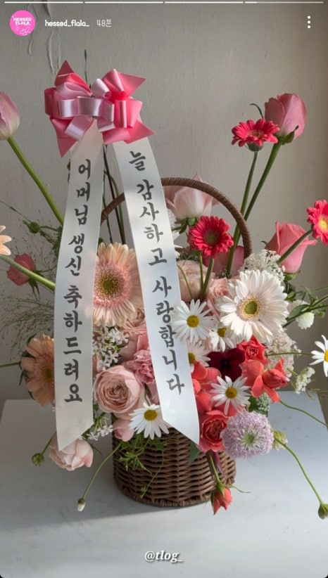 헤쎄드플라라 이미지