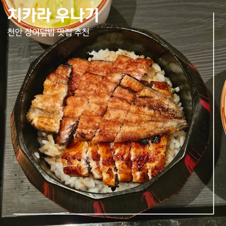 치카라우나기 이미지