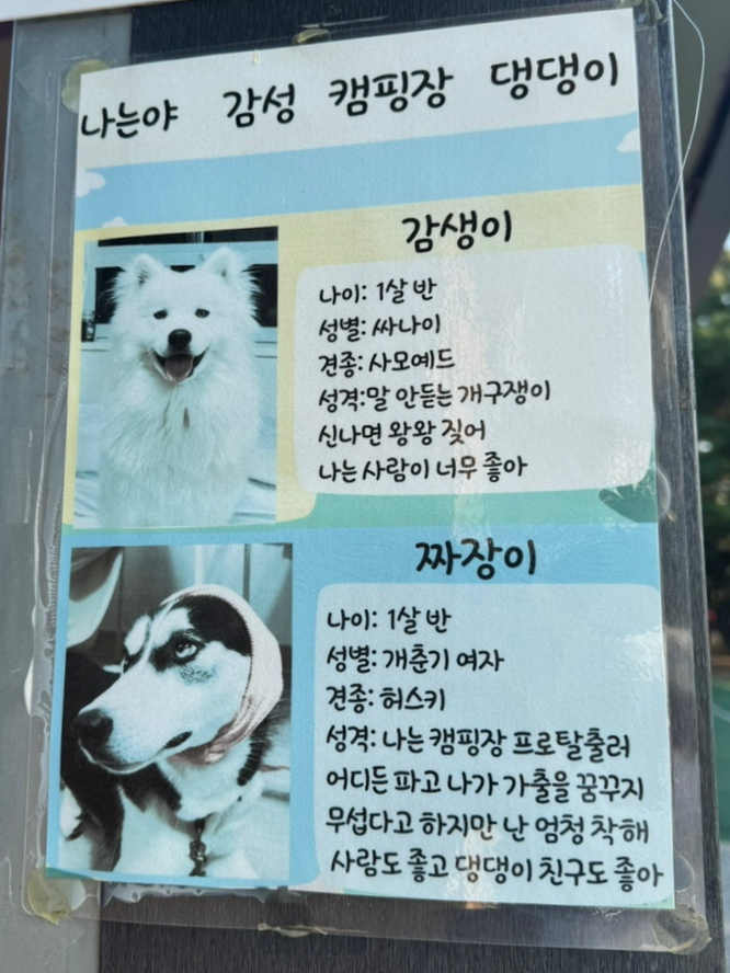 몽산포감성캠핑장 이미지