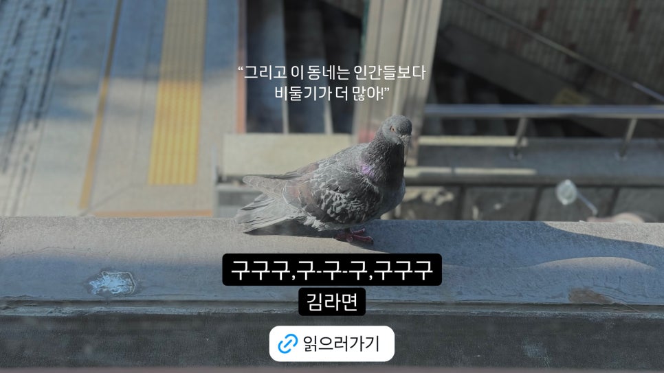 구구구 이미지
