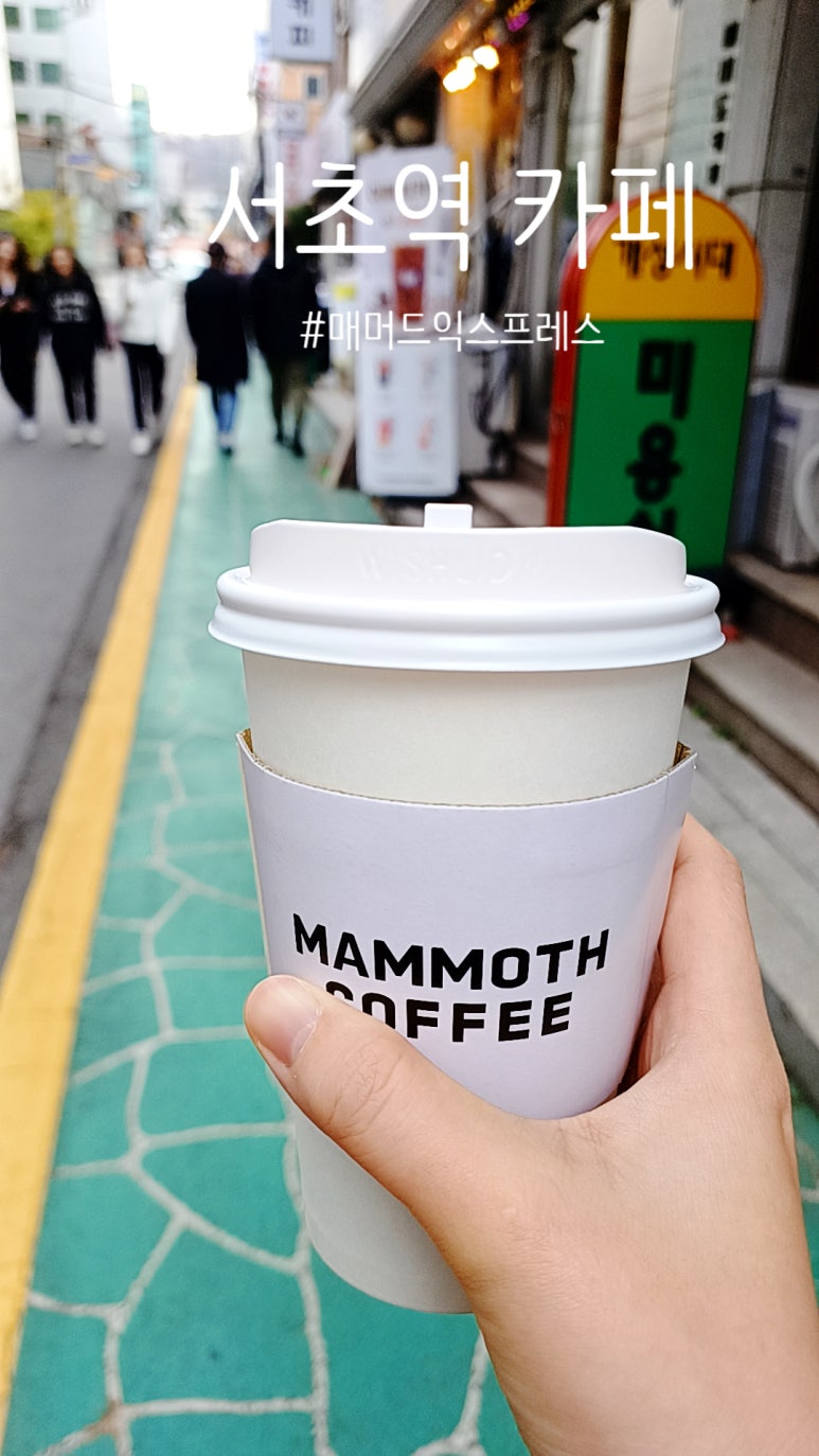 매머드익스프레스서초 이미지