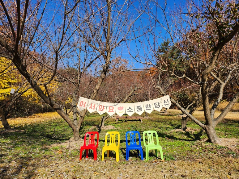 숲:토닥 이미지