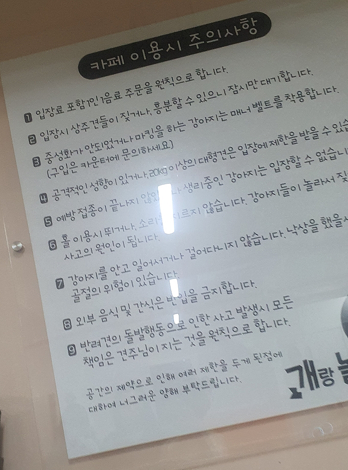 개랑 놀아주는 남자 이미지
