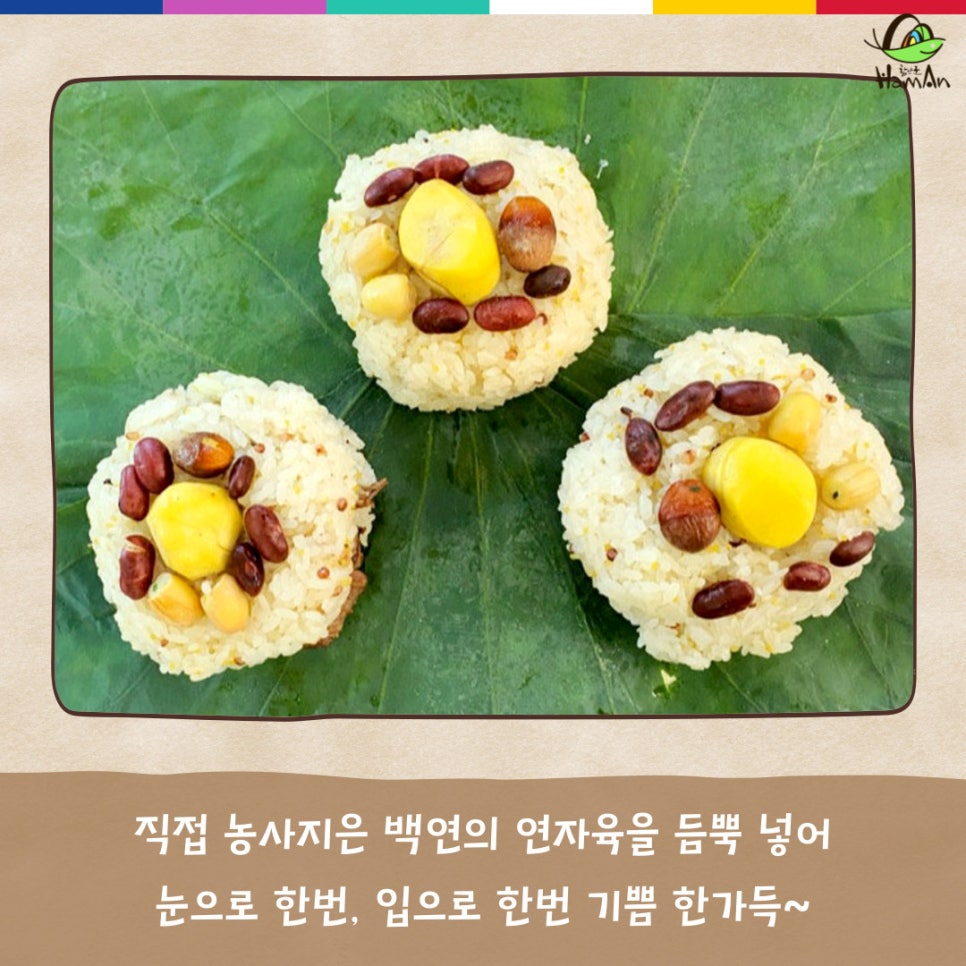 노바블룸디자인 이미지