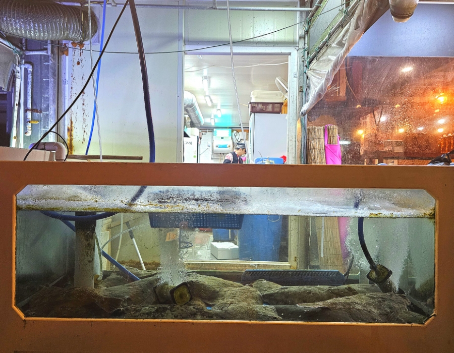 광광수산횟집 이미지