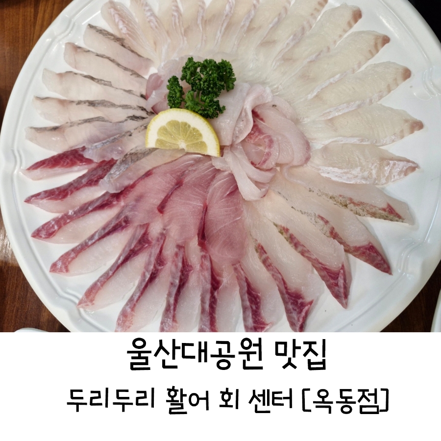 두리두리활어회센터 이미지