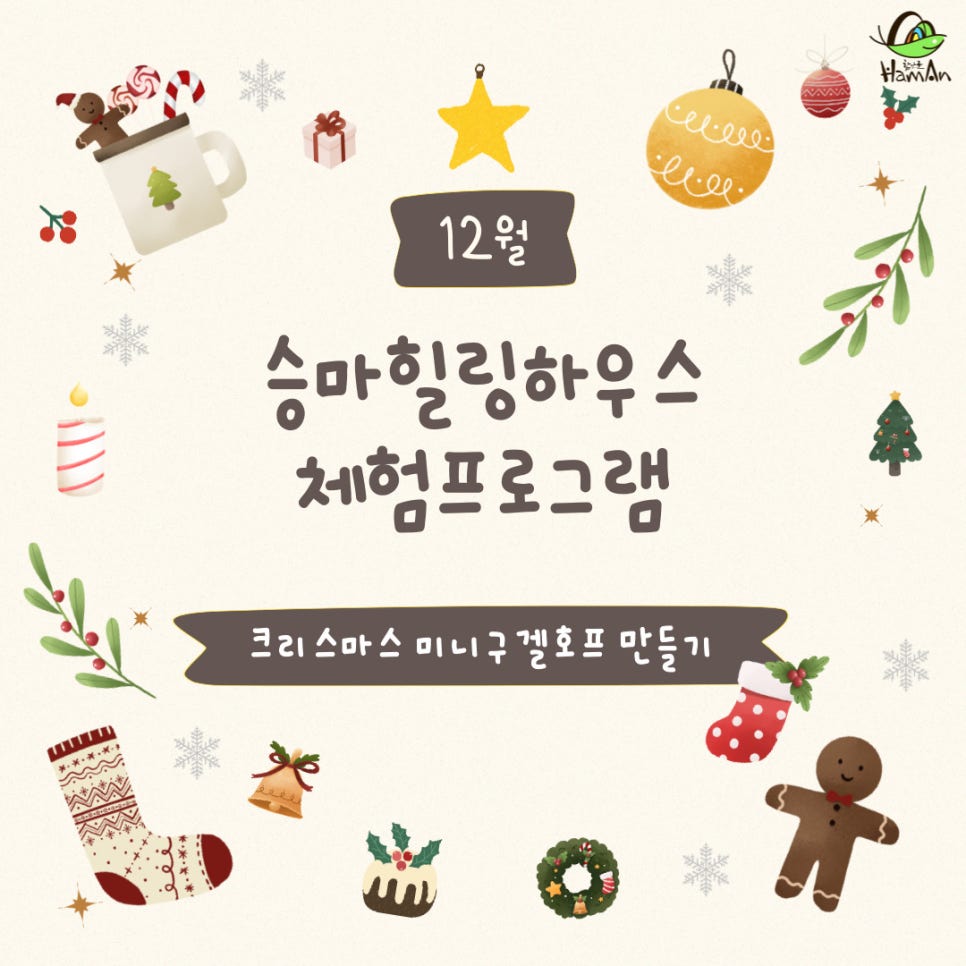 노바블룸디자인 이미지