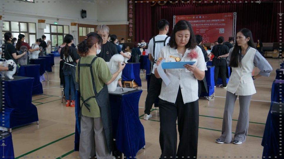 프로펫애견미용학원 이미지