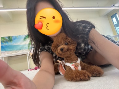 개르메스 이미지