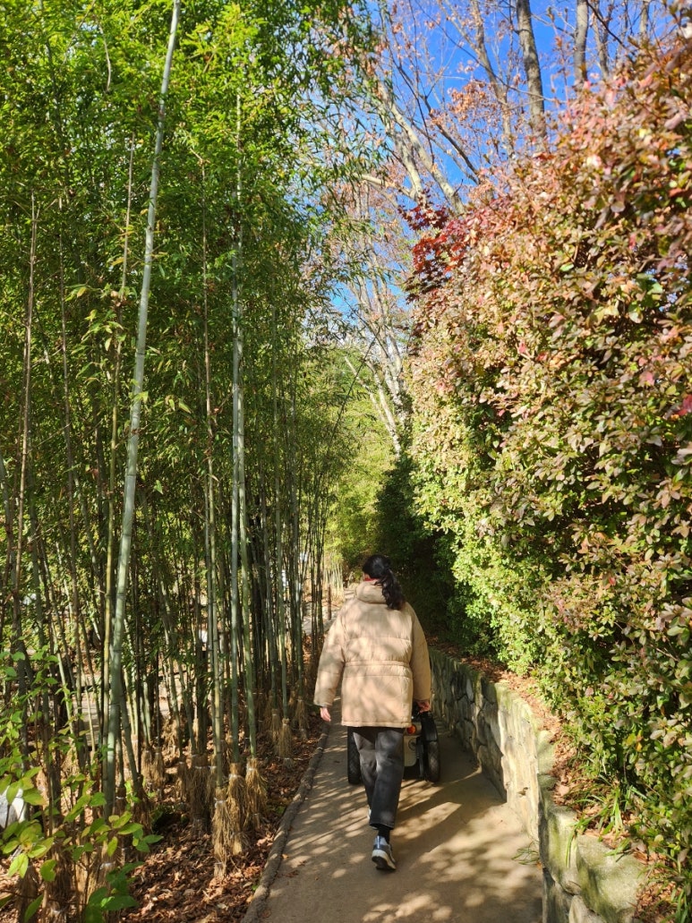 수호판다 이미지